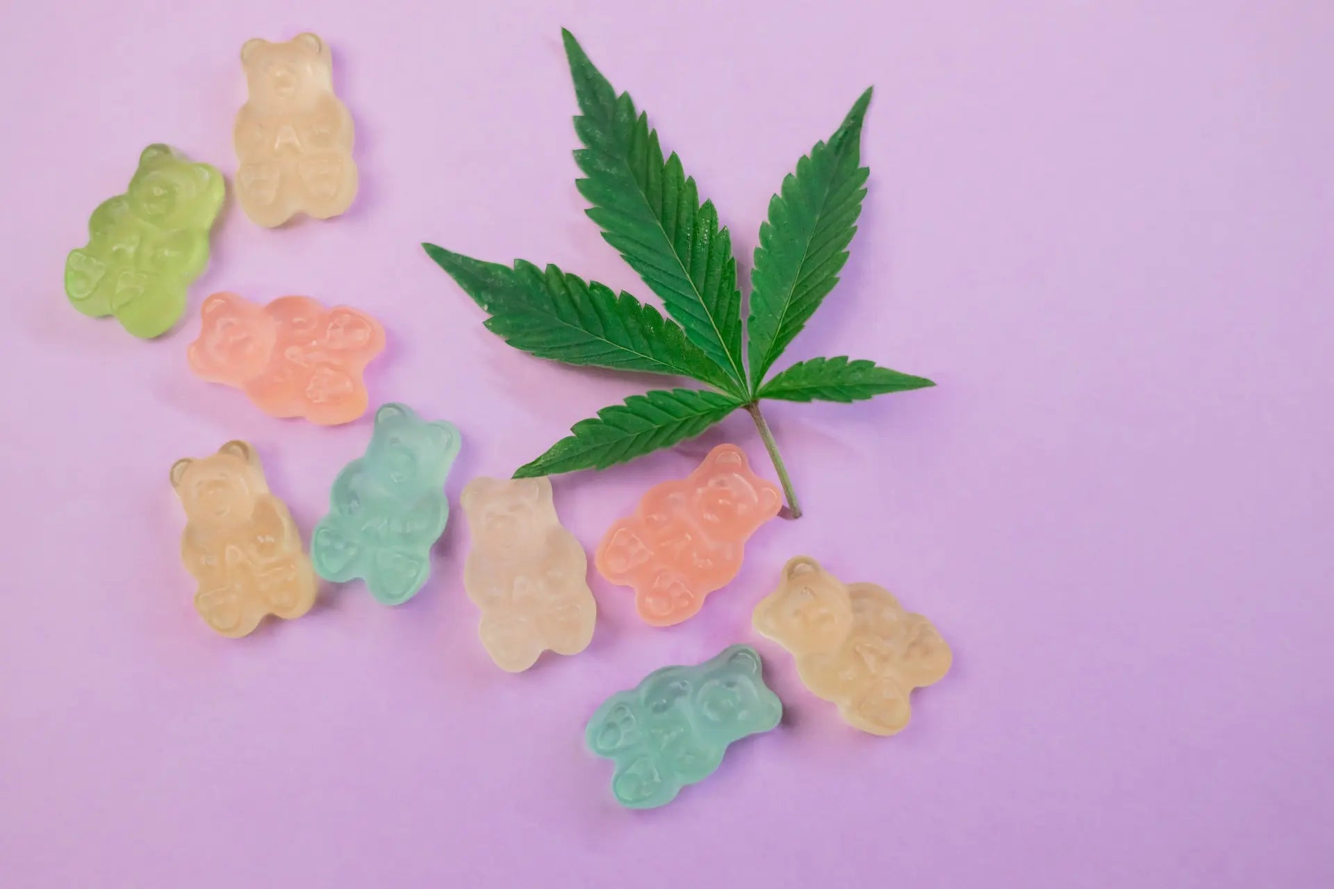 Qu'est-ce-que le Cannabinol (CBN) ?