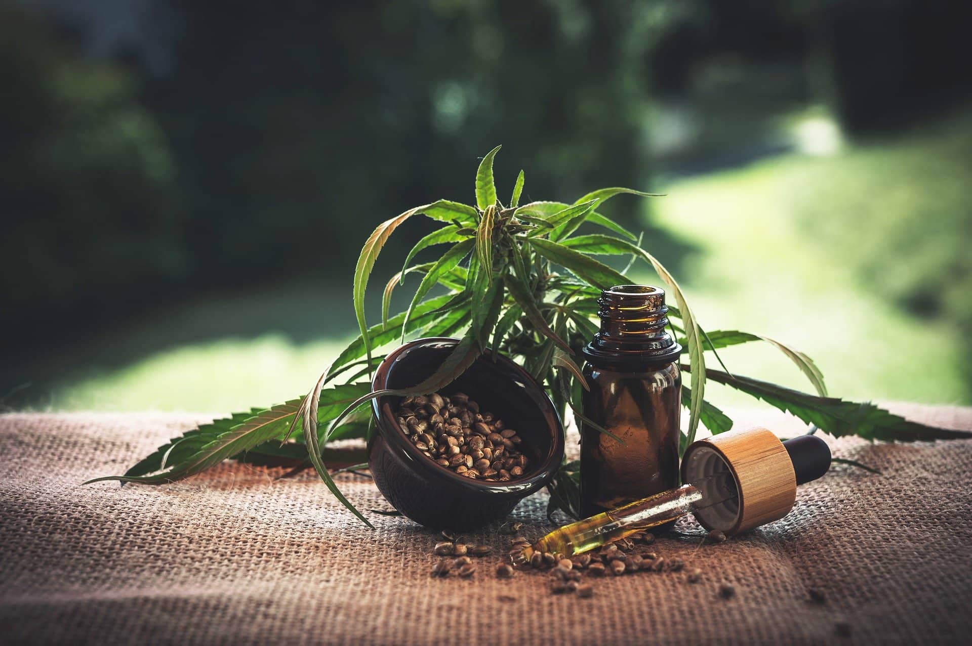 Qu’est-ce que le Cannabidiol (CBD) ?