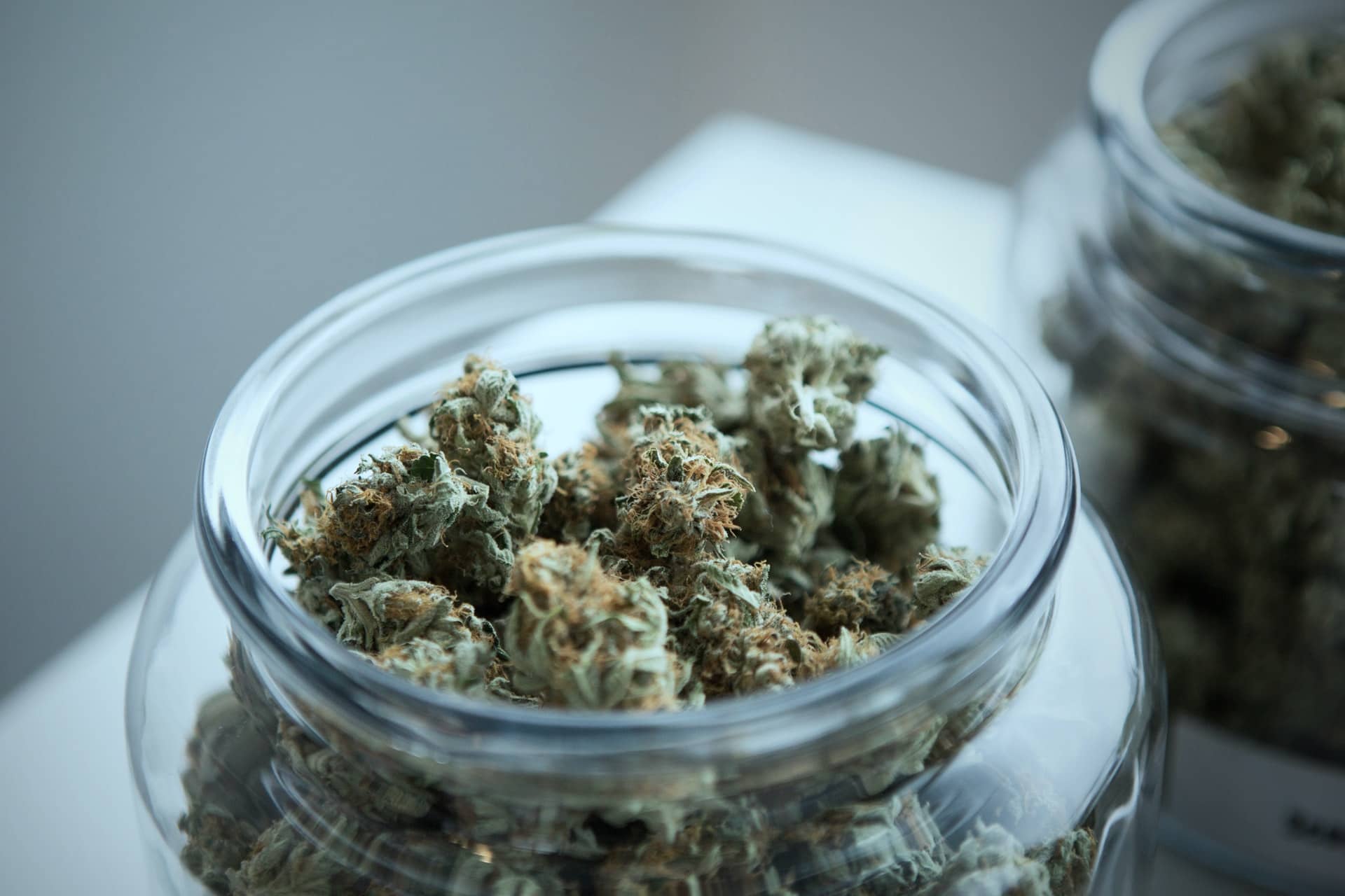 Comment choisir ses fleurs de CBD - KEMPT