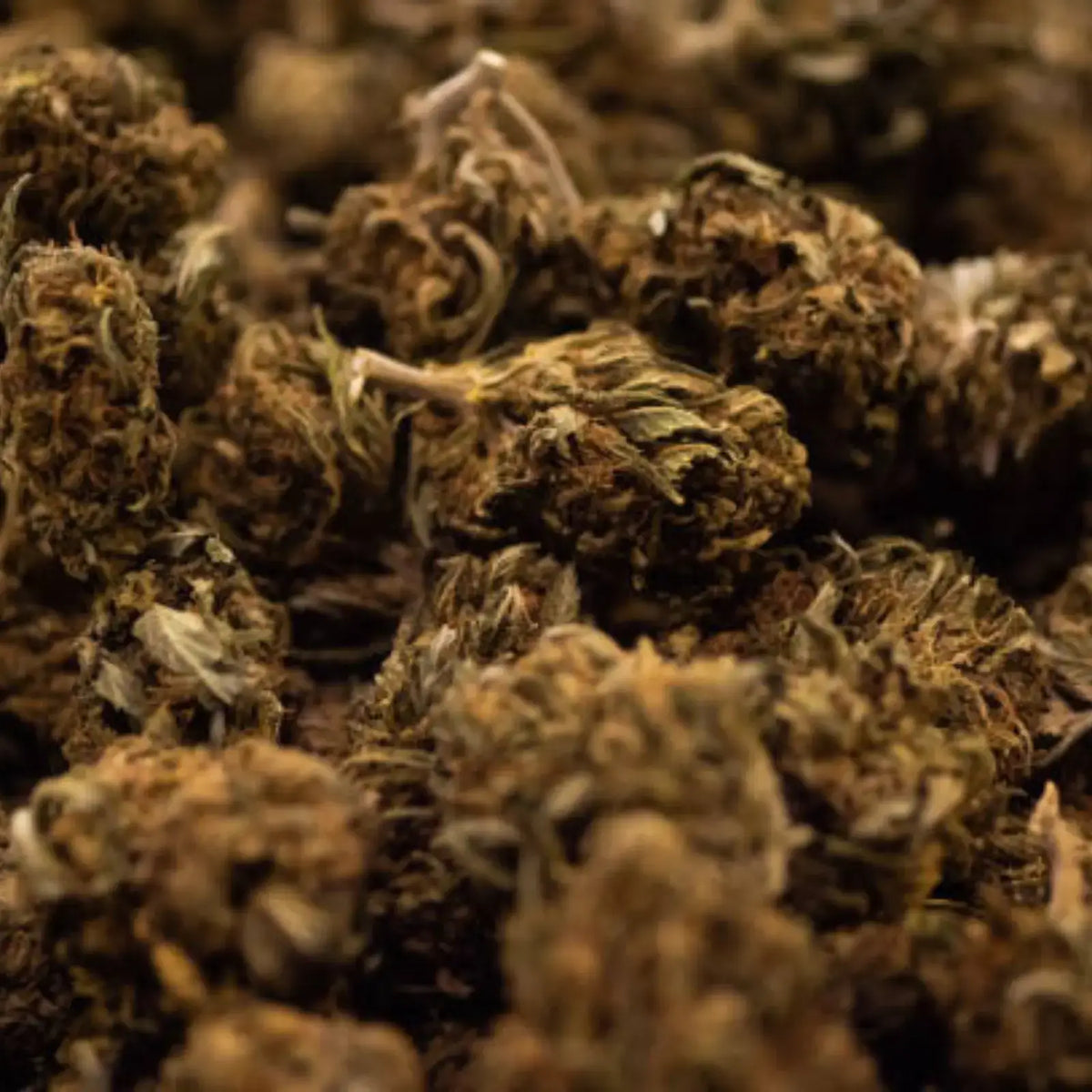 La Caramel Candy - Fleur CBD