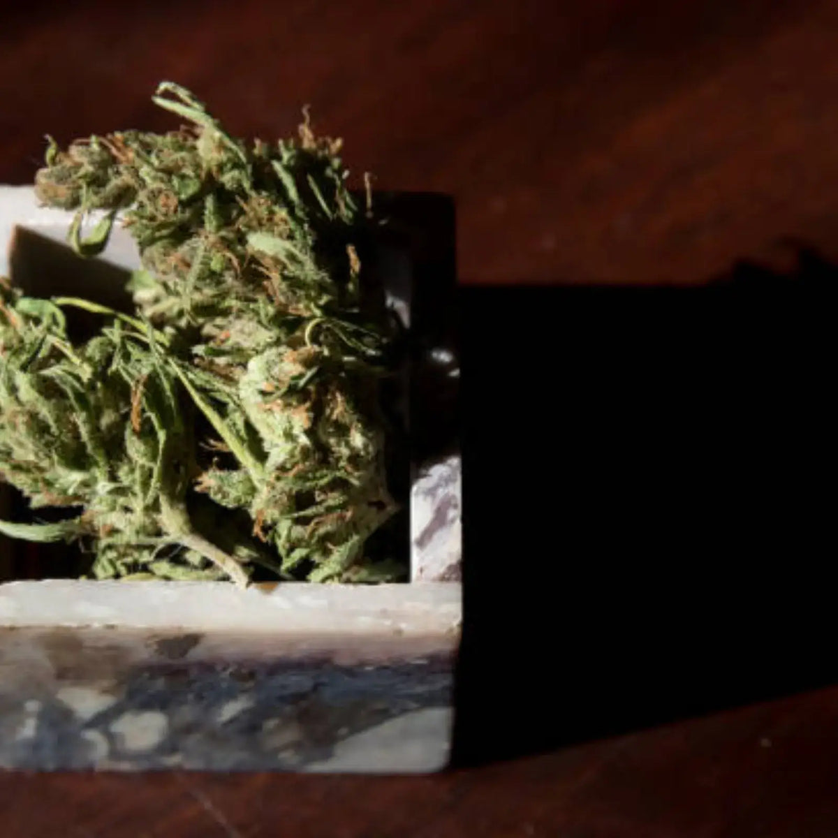 La Harley Quinn - Fleur CBD