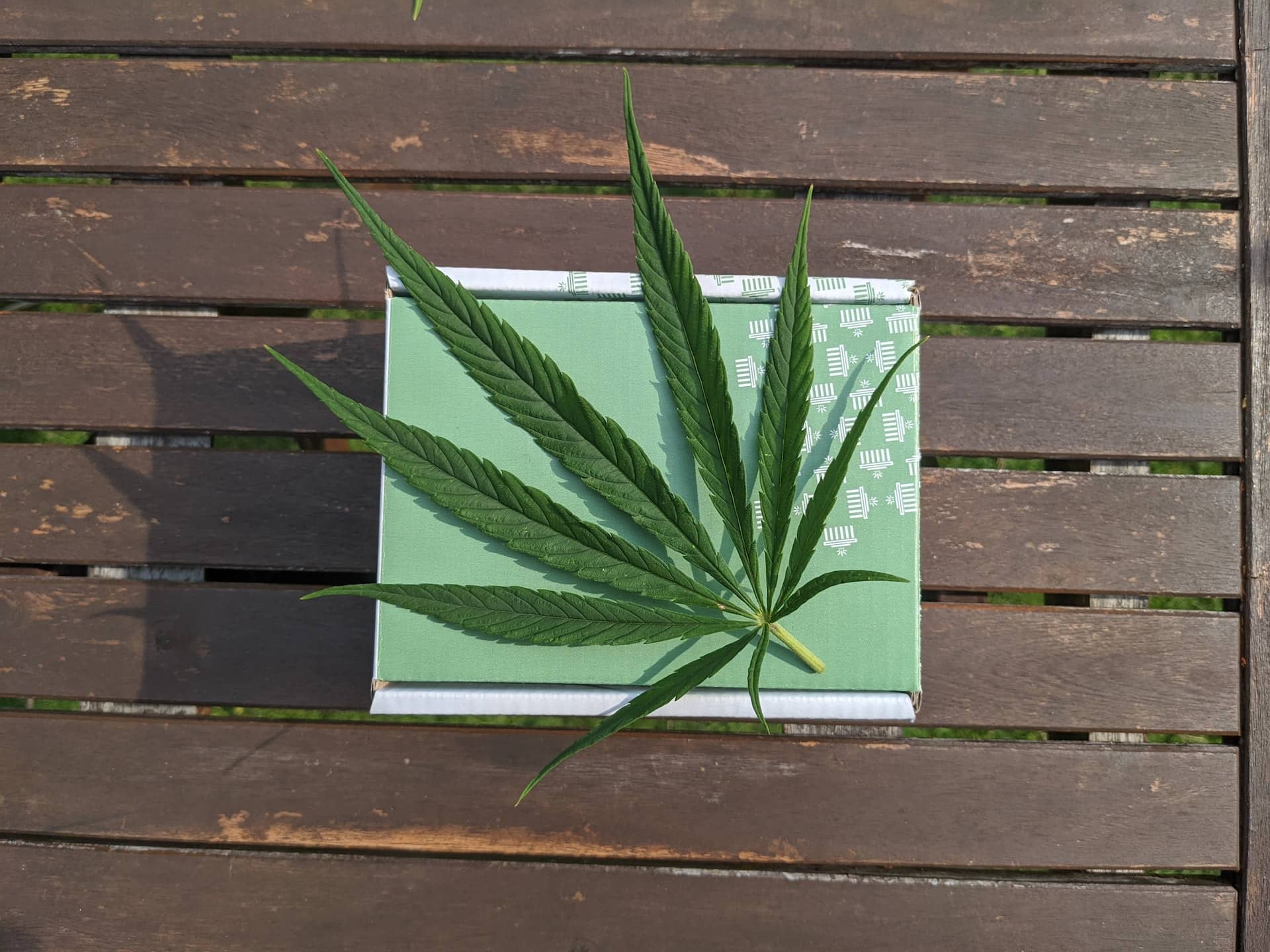 Kempt - Différence Chanvre et Cannabis